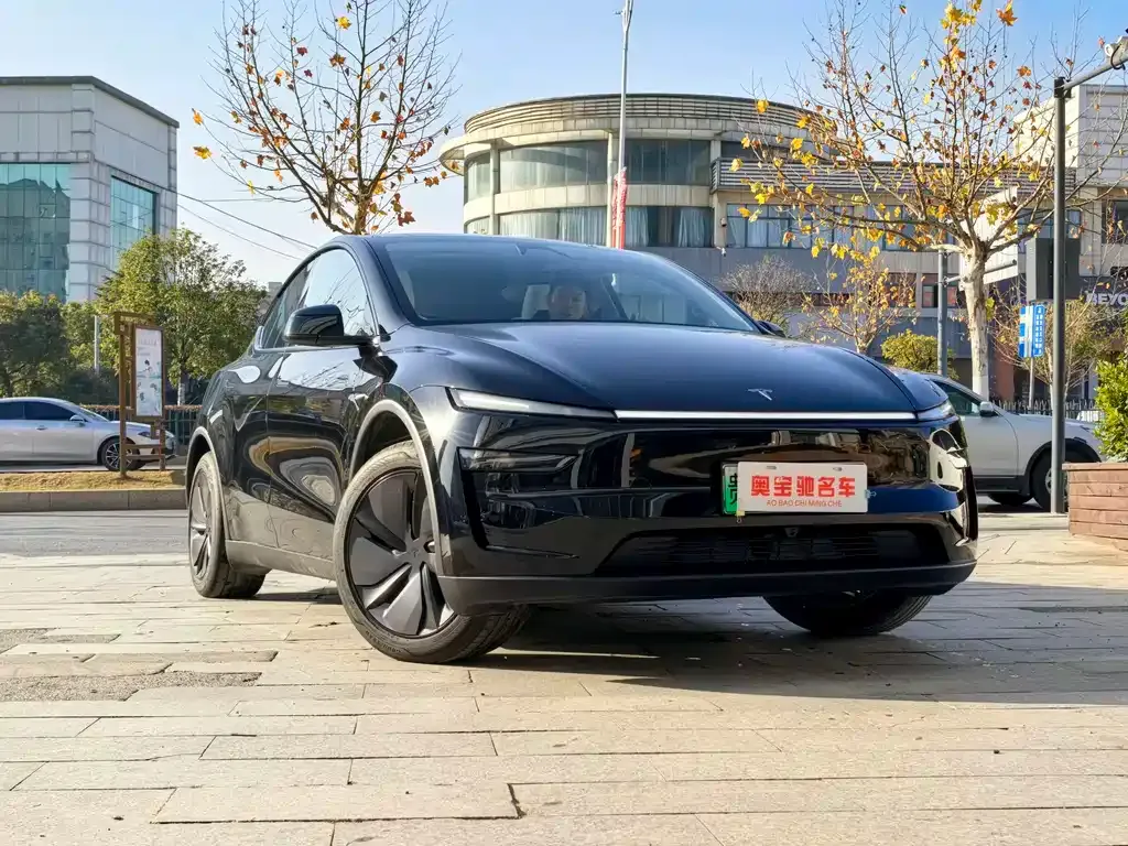 Tesla Model Y — фото 10