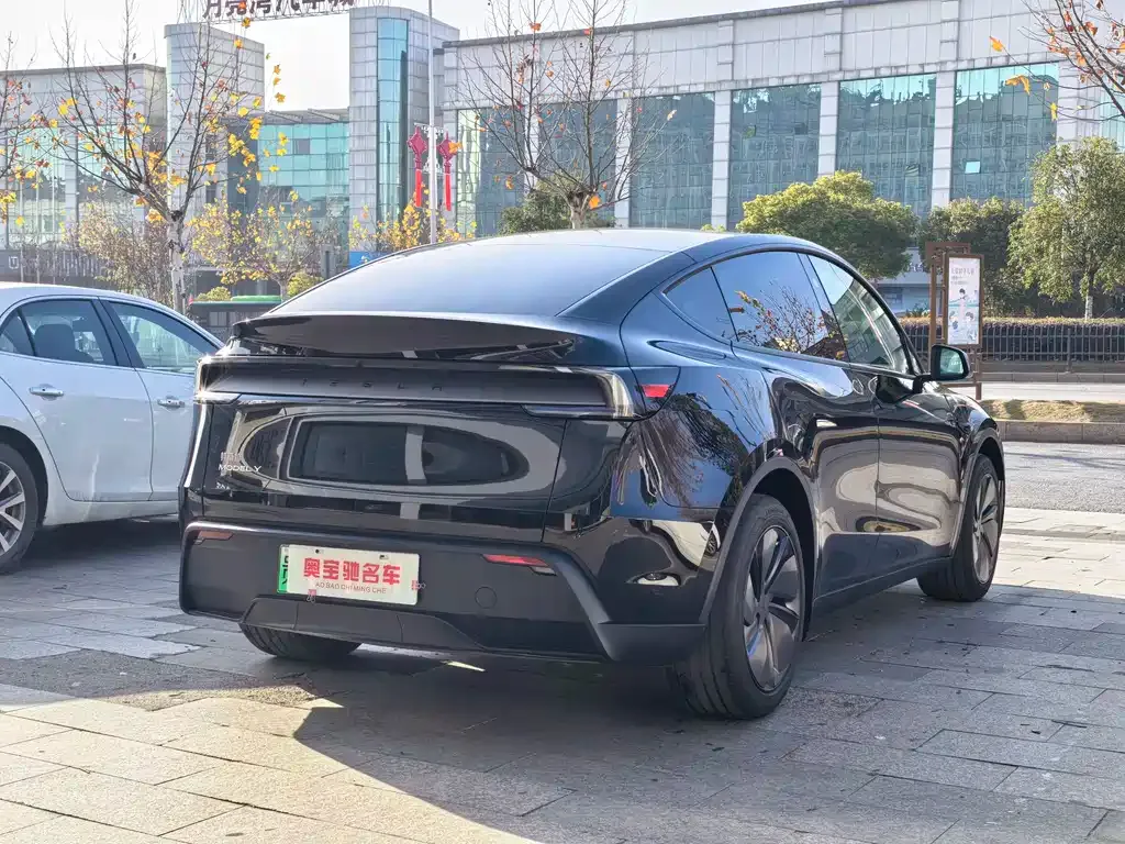 Tesla Model Y — фото 8
