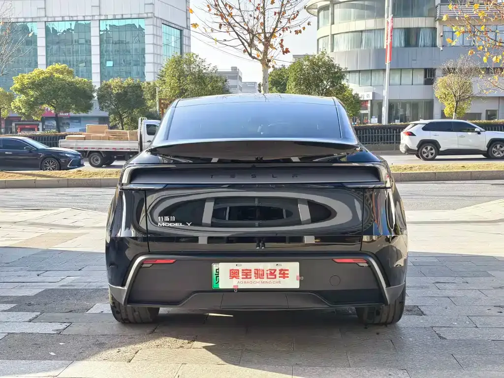 Tesla Model Y — фото 9