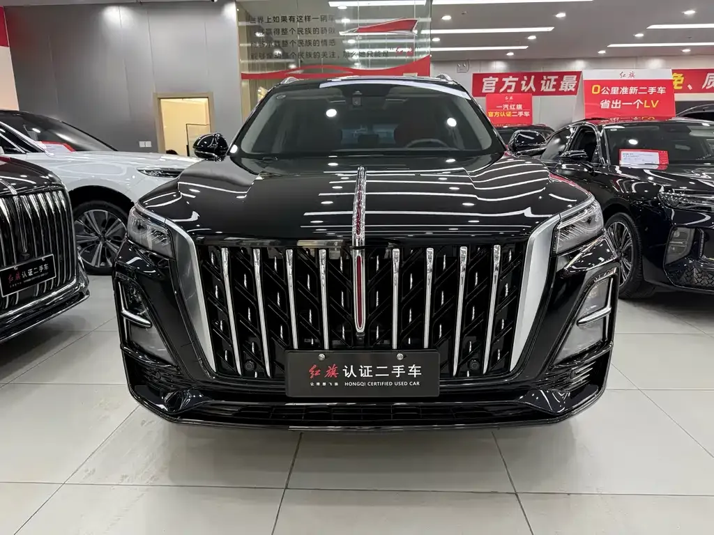 Hongqi HS5 2024 из CN, фото 6