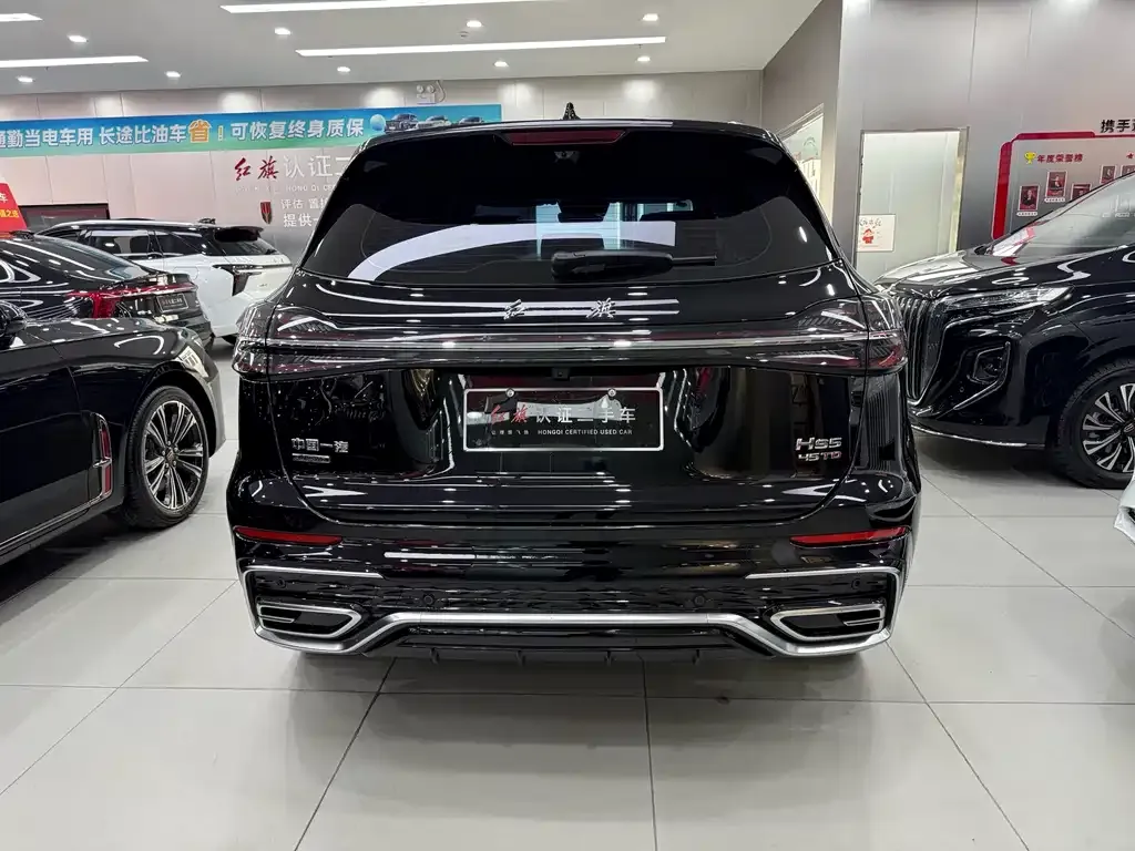 Hongqi HS5 2024 из CN, фото 10