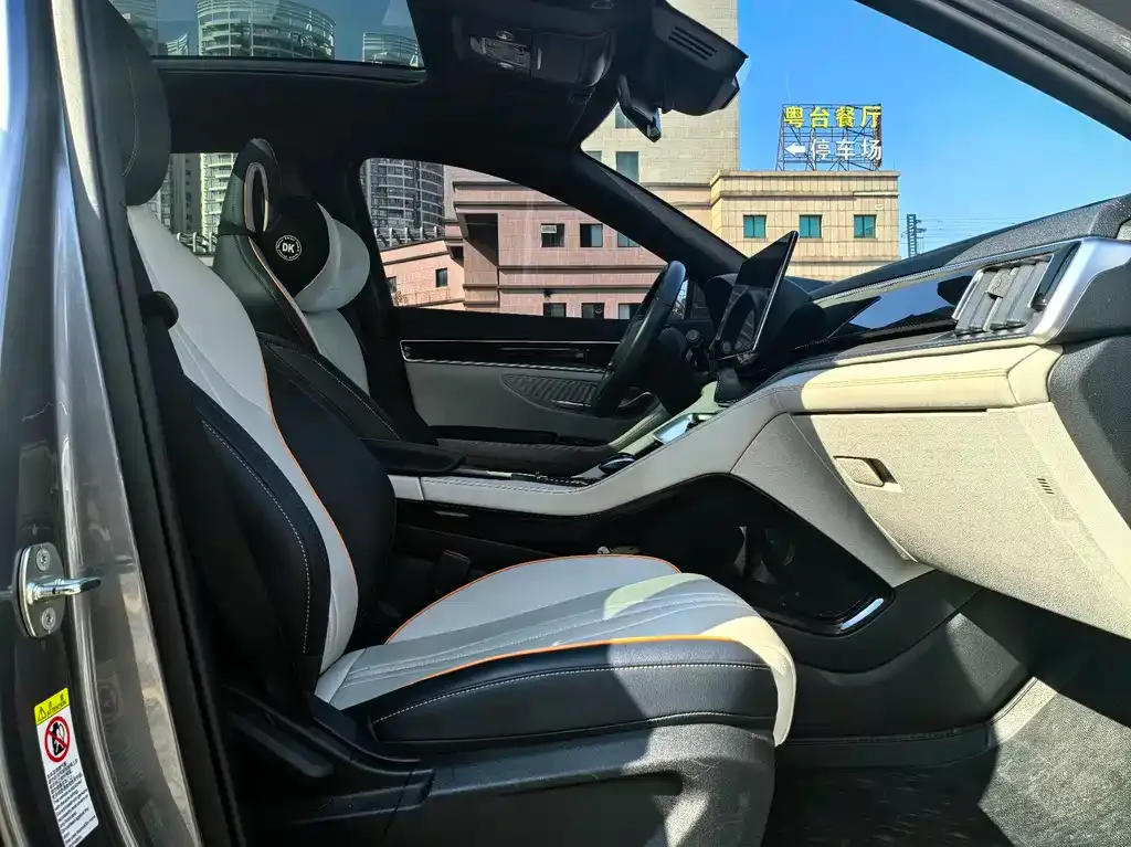 BYD PLUS New Energy 2023 из CN, фото 10