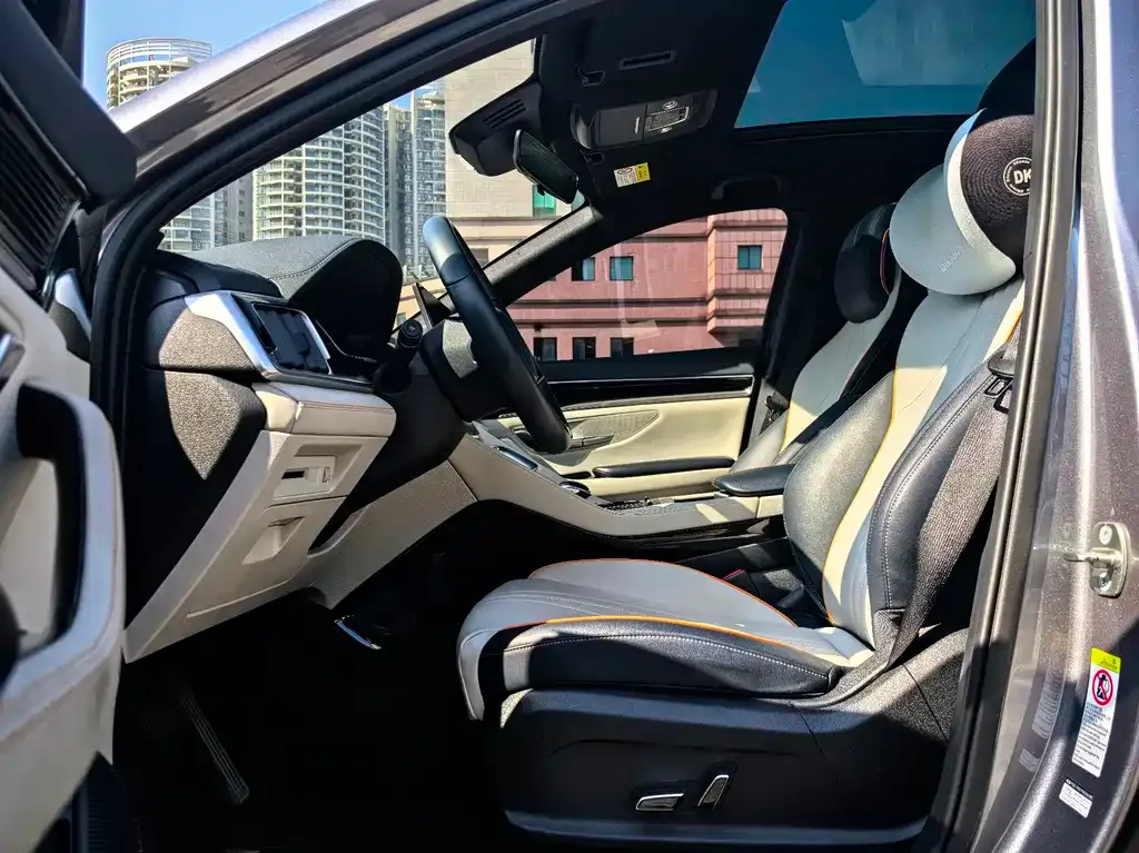 BYD PLUS New Energy 2023 из CN, фото 4