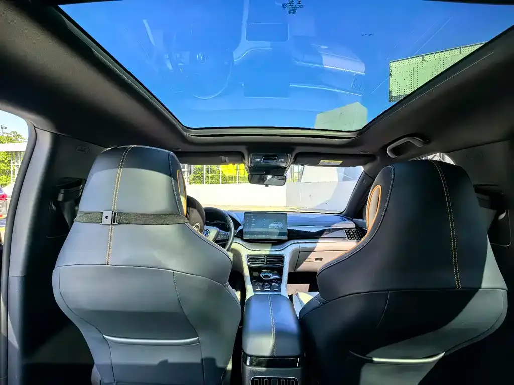 BYD PLUS New Energy 2023 из CN, фото 9