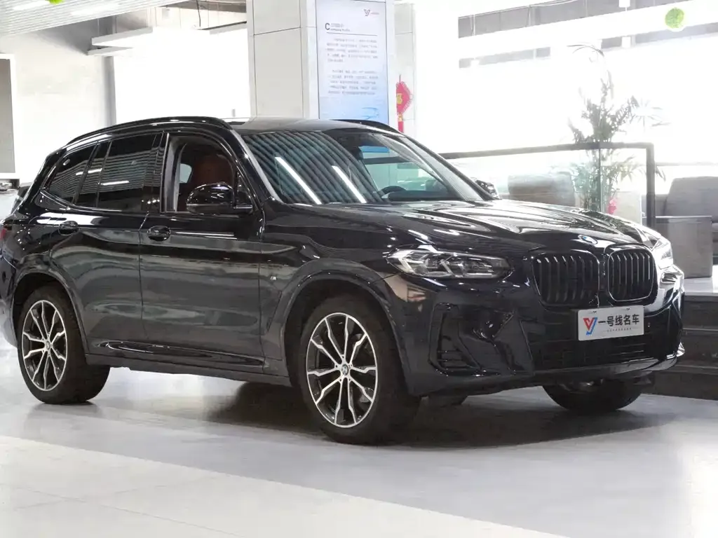 BMW X3 2022 из CN, фото 7