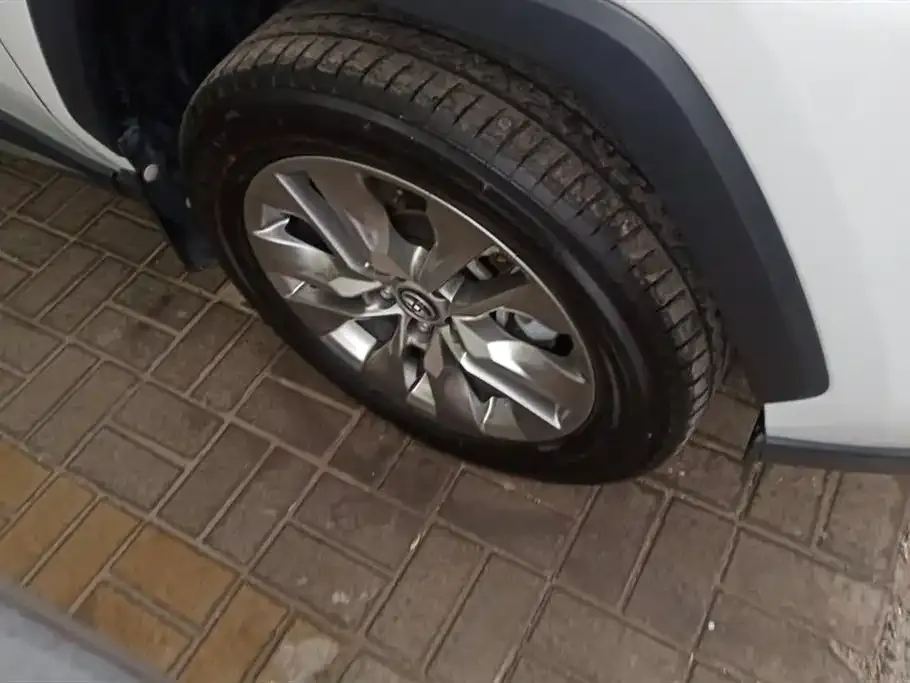Toyota Wildlander 2024 из CN, фото 4