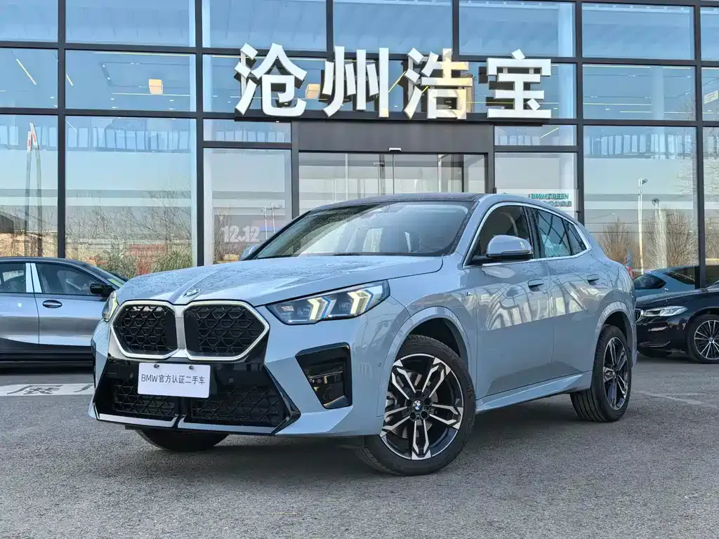 BMW X2 (Import) 2025 из CN, фото 1