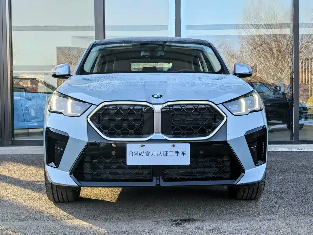 BMW X2 (Import) 2025 из CN, фото 5