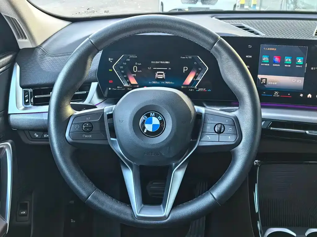 BMW X2 (Import) 2025 из CN, фото 8