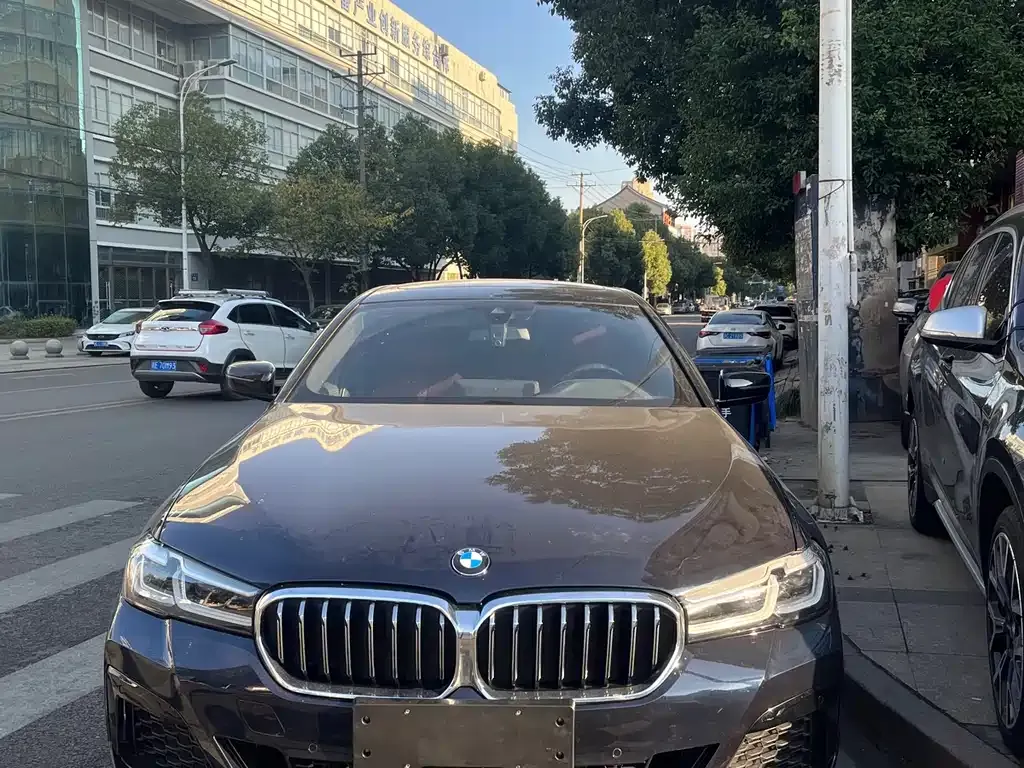 BMW 5 Series 2022 из CN, фото 1