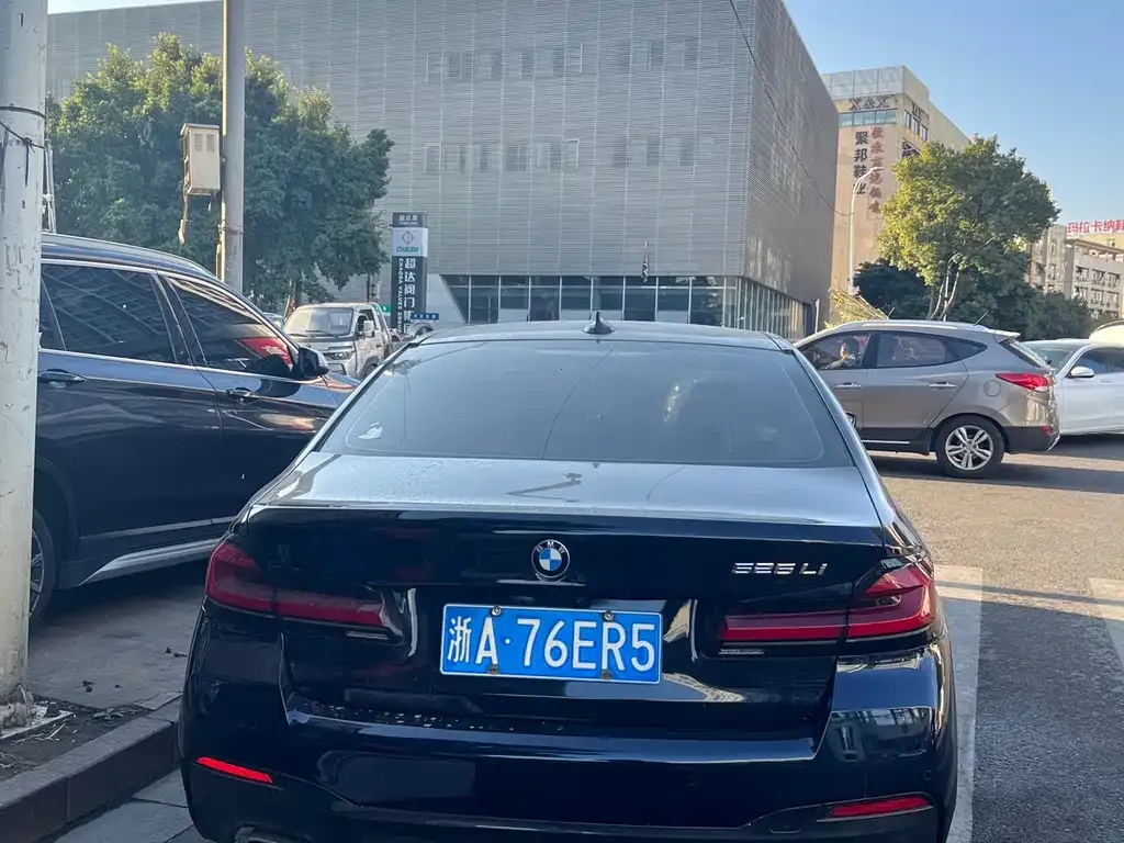 BMW 5 Series 2022 из CN, фото 5