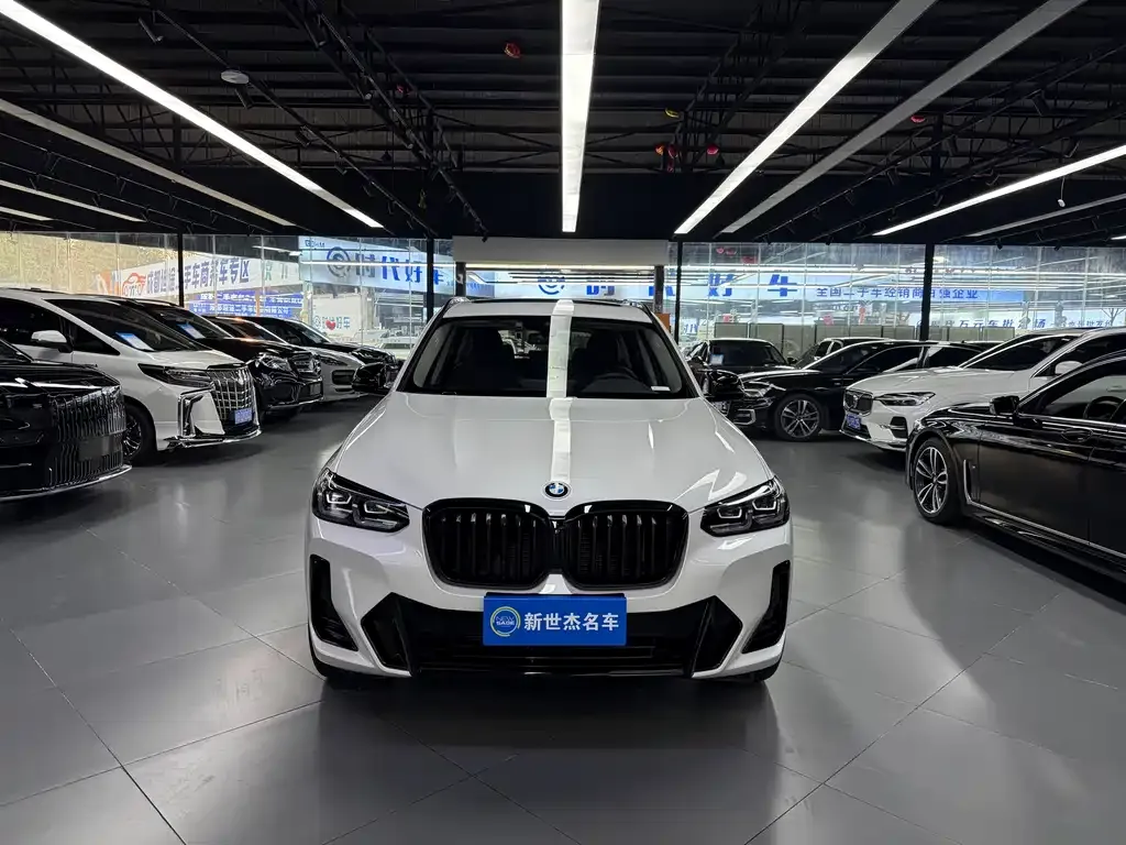 BMW X3 2021 из CN, фото 4