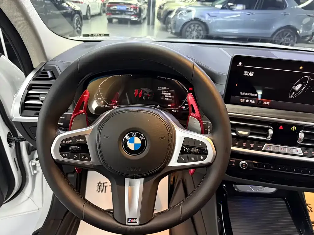 BMW X3 2021 из CN, фото 9