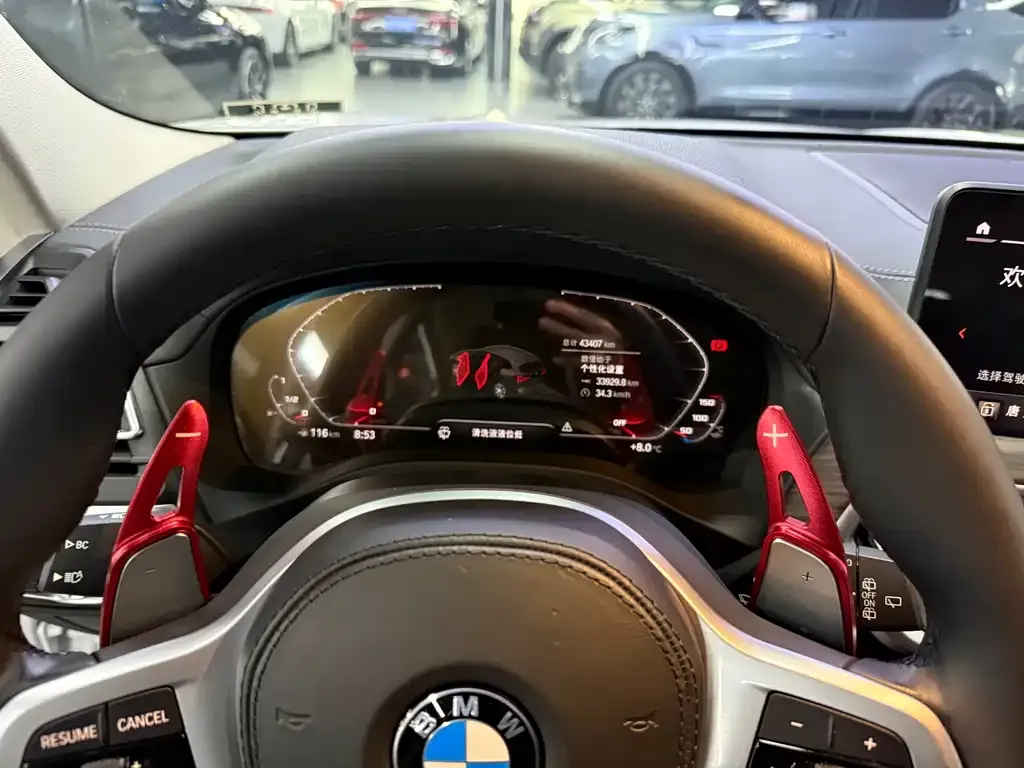 BMW X3 2021 из CN, фото 6