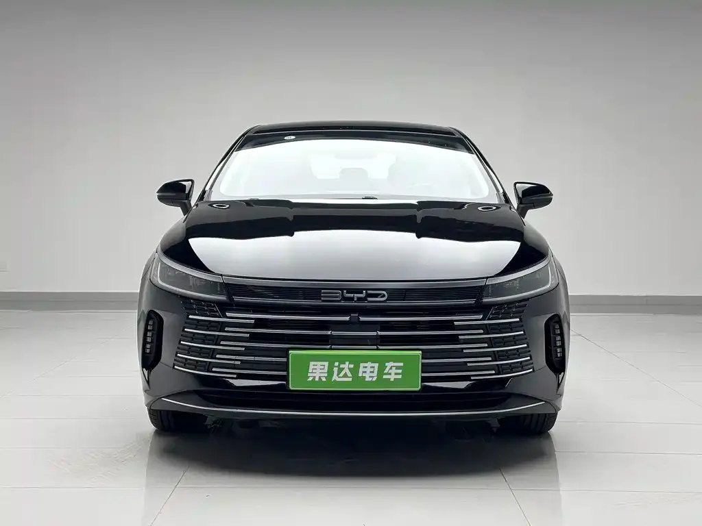 BYD Destroyer 05 2025 из CN, фото 2
