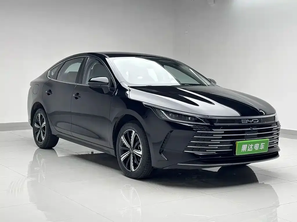 BYD Destroyer 05 2025 из CN, фото 4