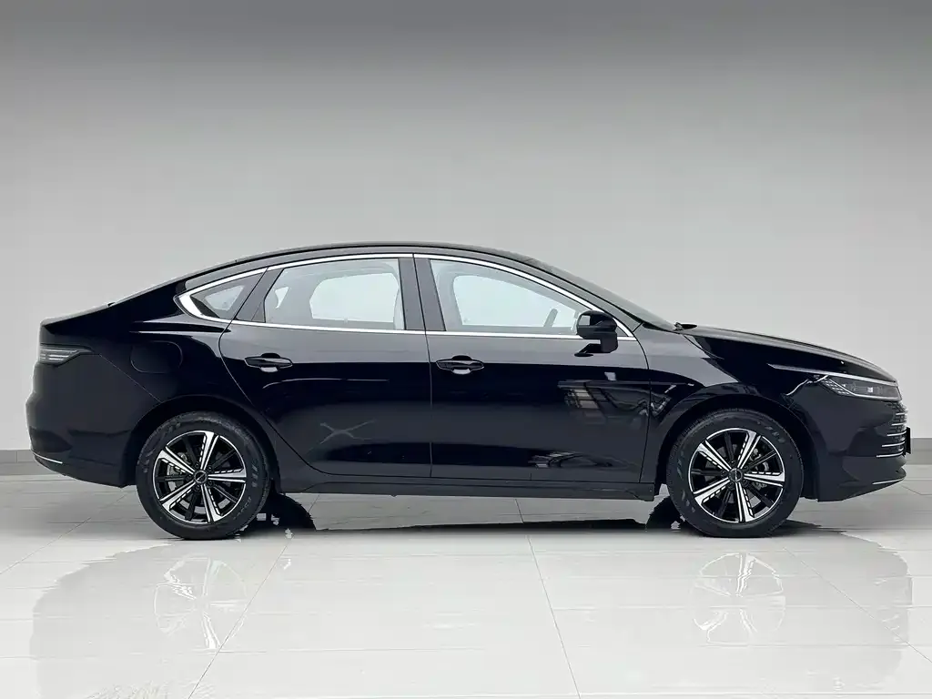BYD Destroyer 05 2025 из CN, фото 3