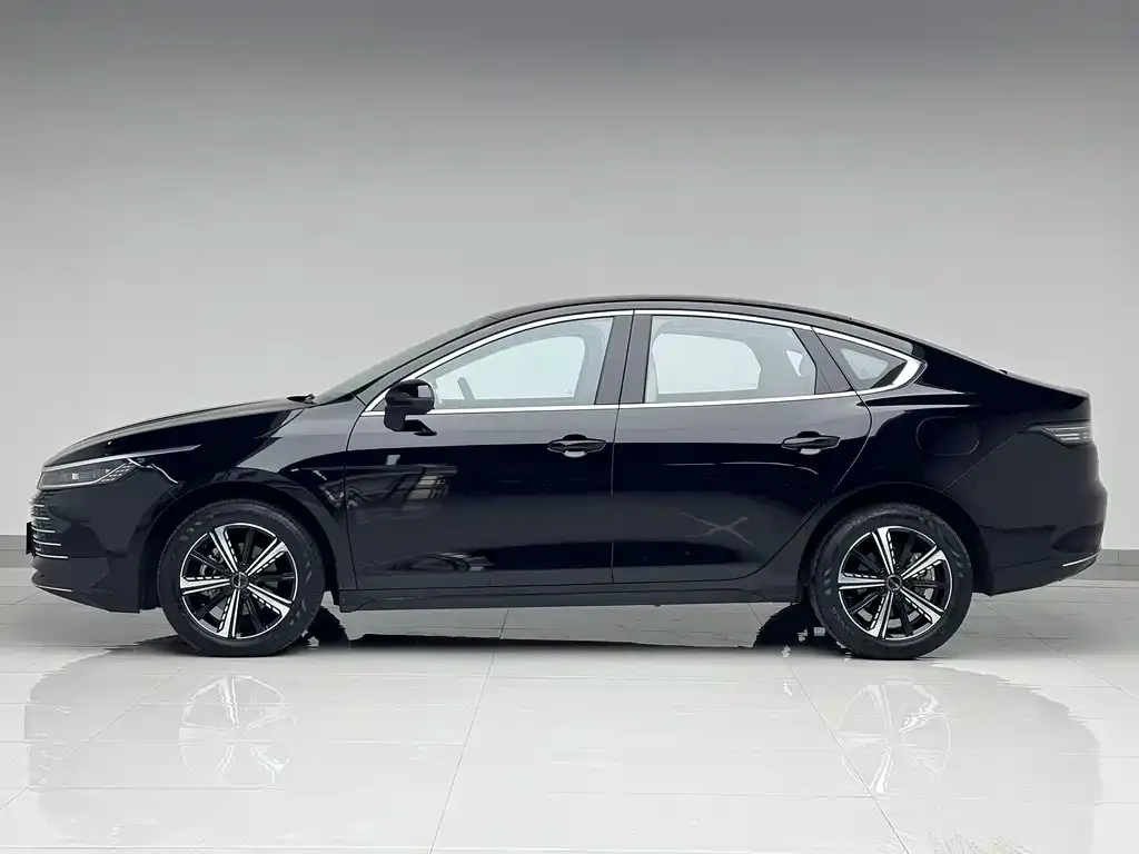 BYD Destroyer 05 2025 из CN, фото 5