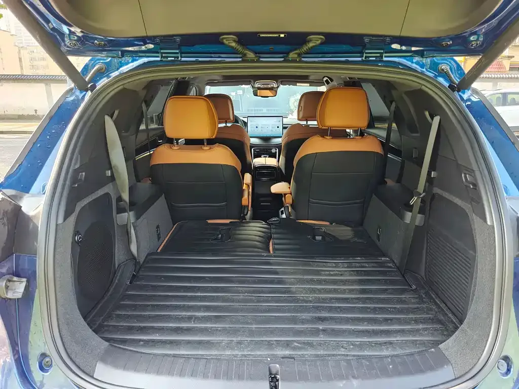 BYD Tang New Energy 2022 из CN, фото 2