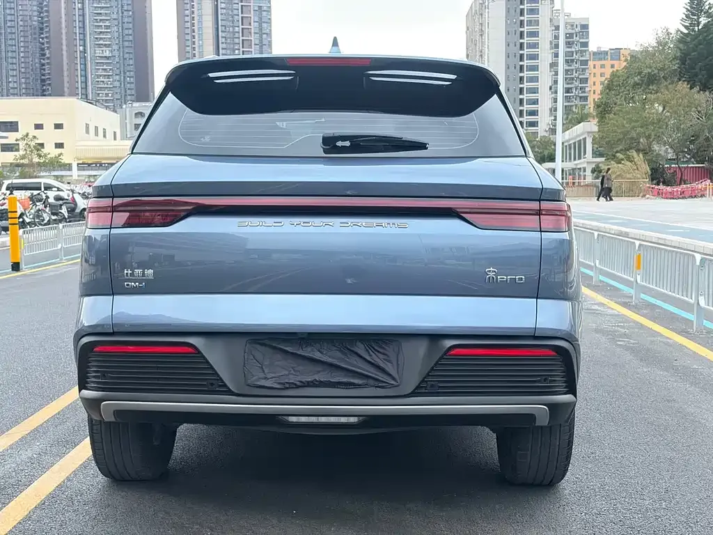 BYD Pro New Energy 2023 из CN, фото 7