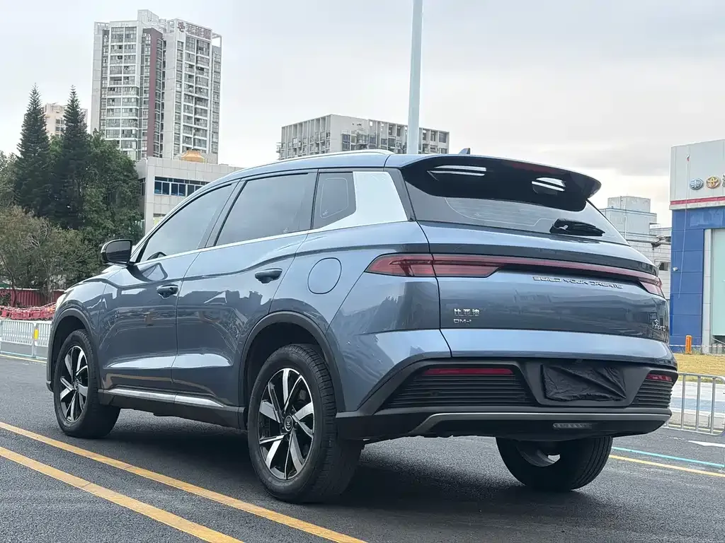 BYD Pro New Energy 2023 из CN, фото 8