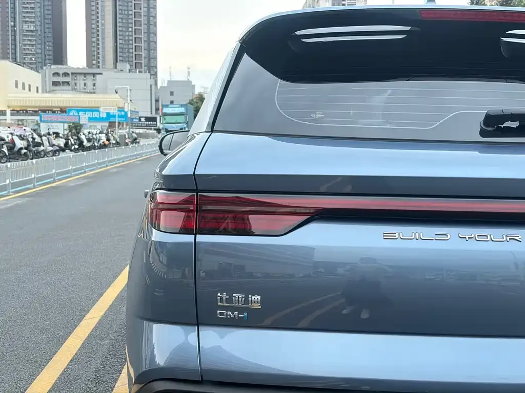 BYD Pro New Energy 2023 из CN, фото 9