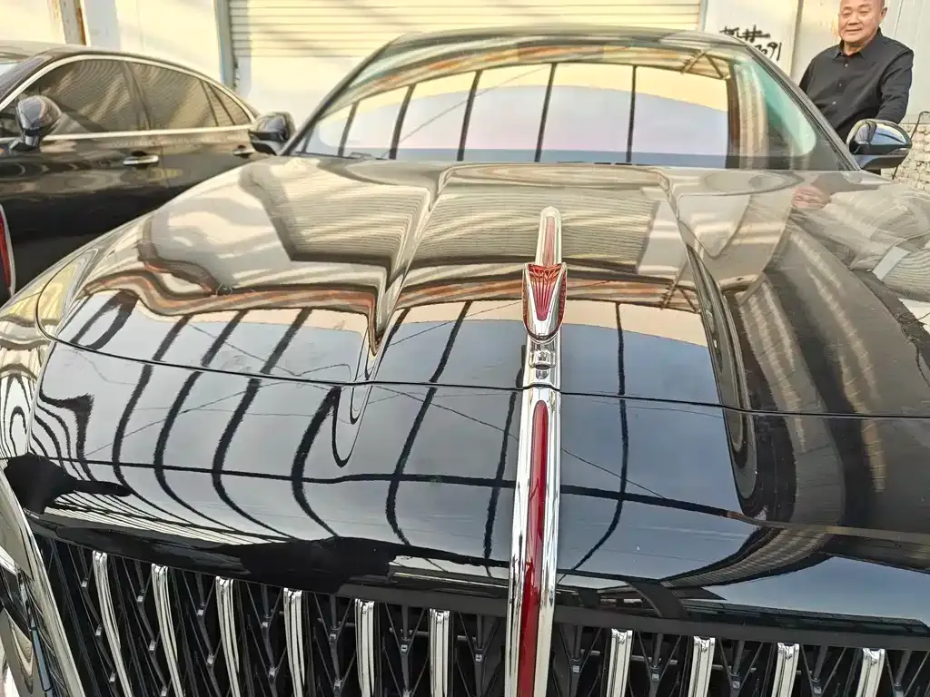Hongqi H5 2025 из CN, фото 10