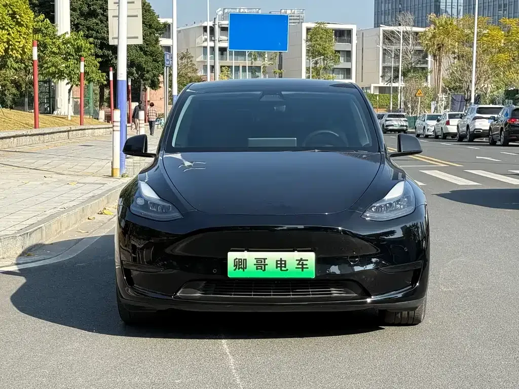 Tesla Model Y — фото 8
