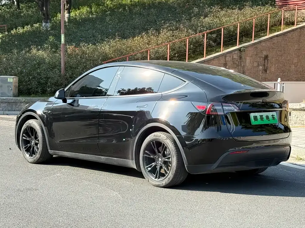 Tesla Model Y — фото 10