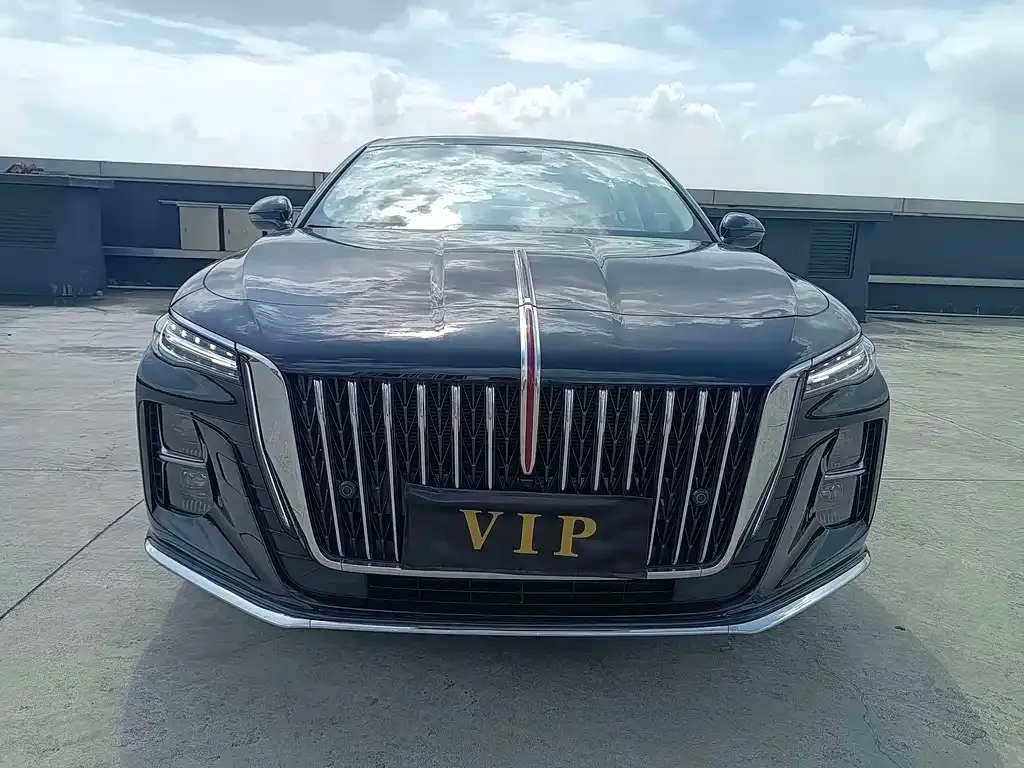 Hongqi H5 2023 из CN, фото 2