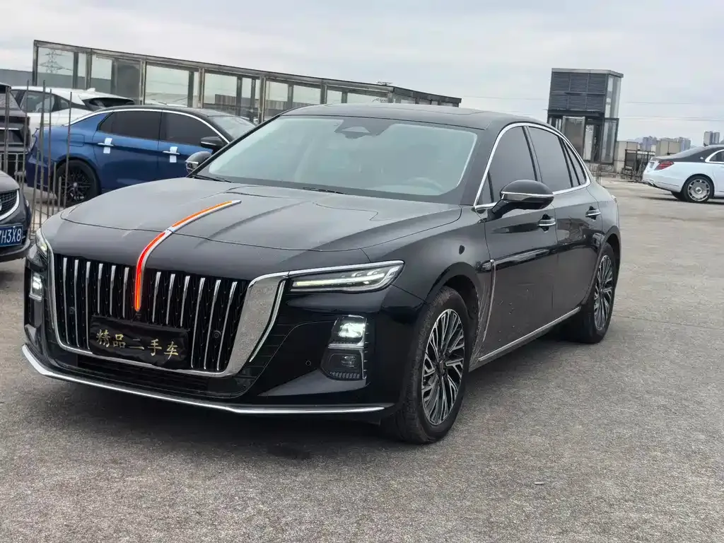 Hongqi H5 2023 из CN, фото 2