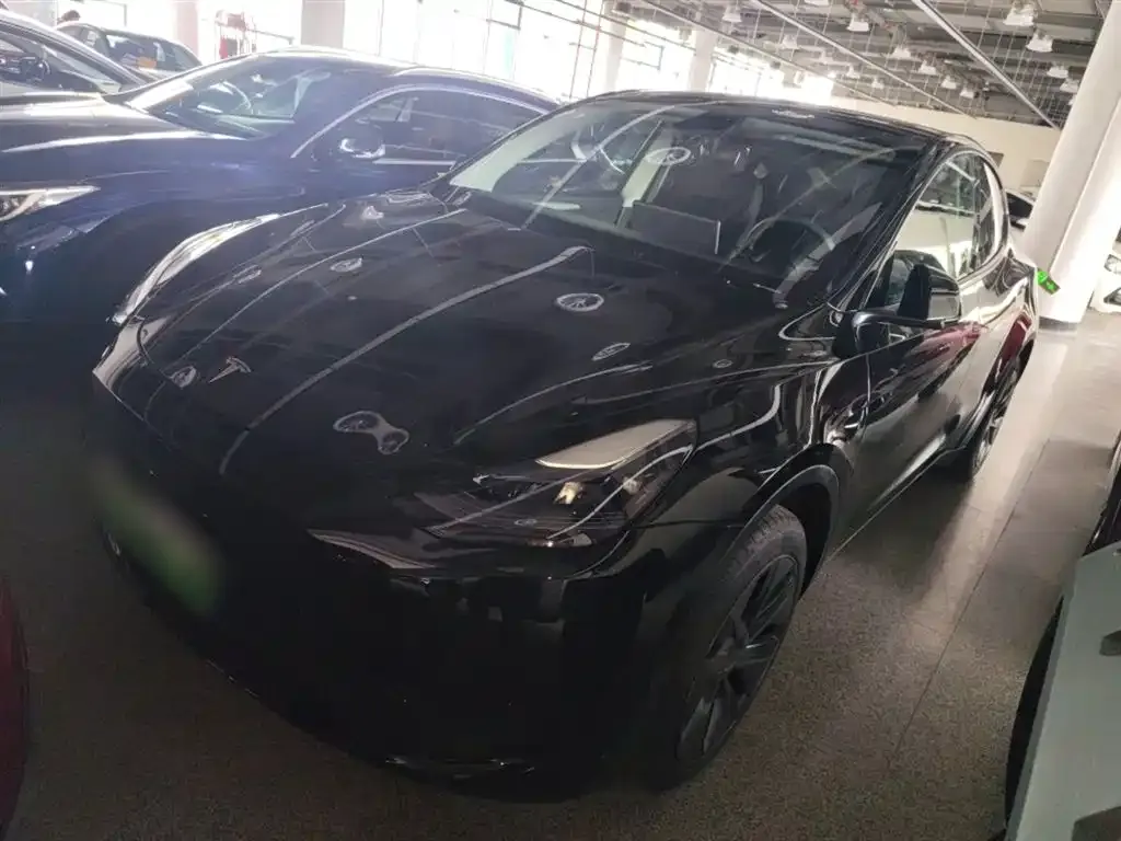 Tesla Model Y 2023 из CN, фото 1