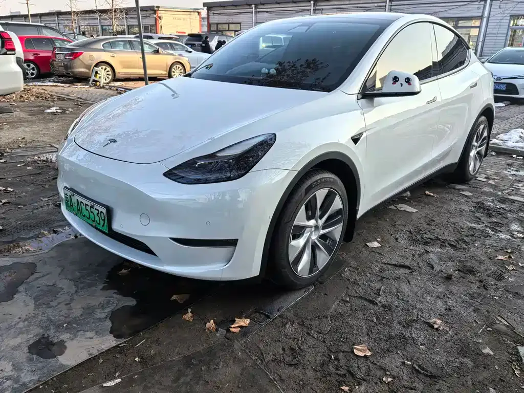 Tesla Model Y 2021 из CN, фото 1