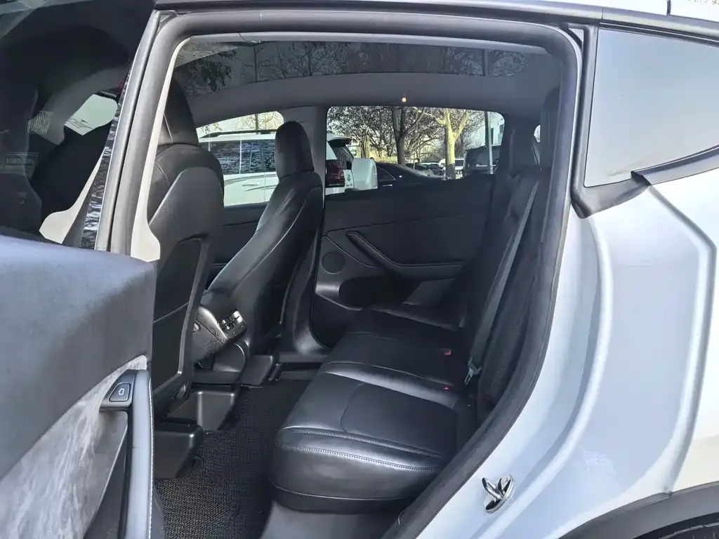 Tesla Model Y 2021 из CN, фото 3