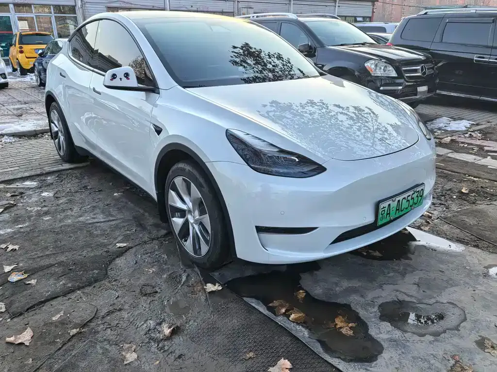 Tesla Model Y 2021 из CN, фото 9