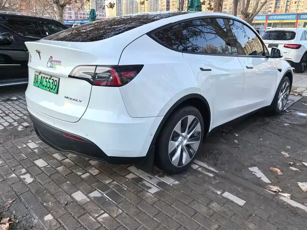 Tesla Model Y 2021 из CN, фото 10
