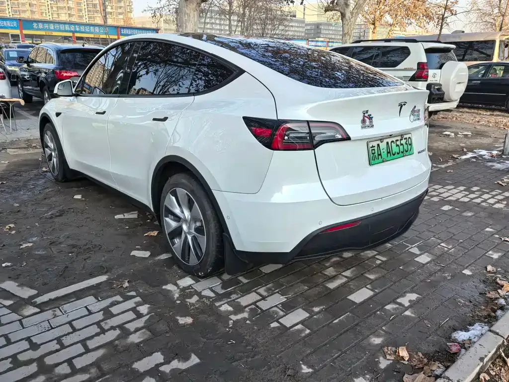 Tesla Model Y 2021 из CN, фото 5