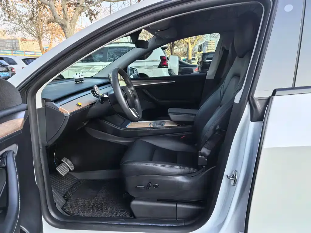 Tesla Model Y 2021 из CN, фото 4
