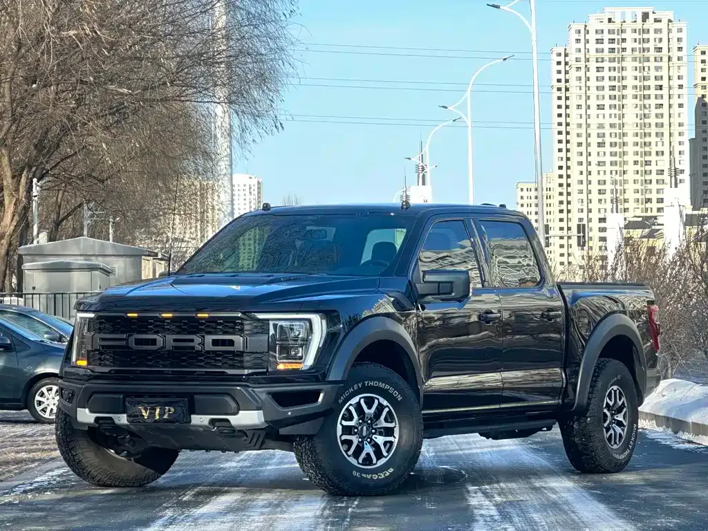 Ford F-150 Raptor — фото 1