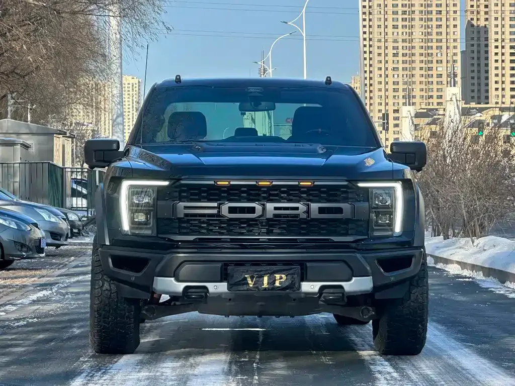 Ford F-150 Raptor — фото 8