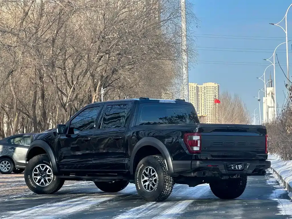 Ford F-150 Raptor — фото 10