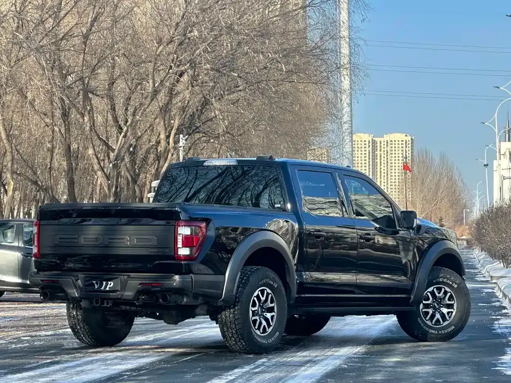 Ford F-150 Raptor — фото 4