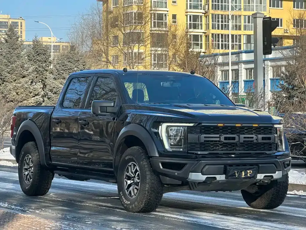 Ford F-150 Raptor — фото 9