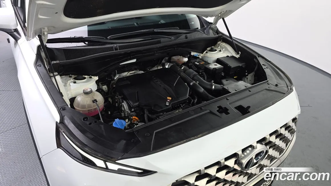 Hyundai Santafe 2022 из KR, фото 6