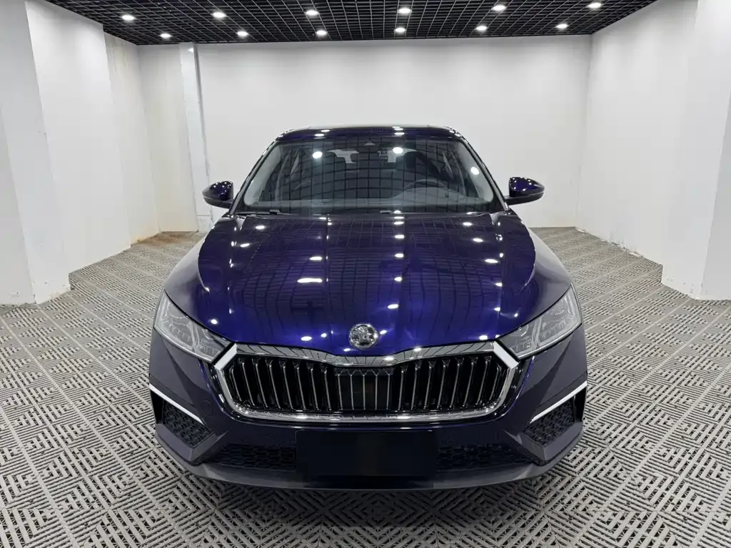 Skoda Octavia 2021 из CN, фото 4
