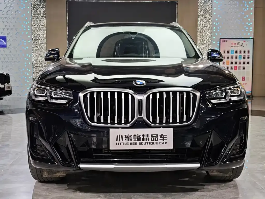 BMW X3 2023 из CN, фото 9