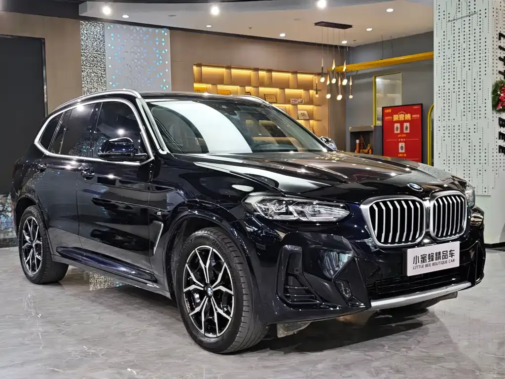 BMW X3 2023 из CN, фото 10