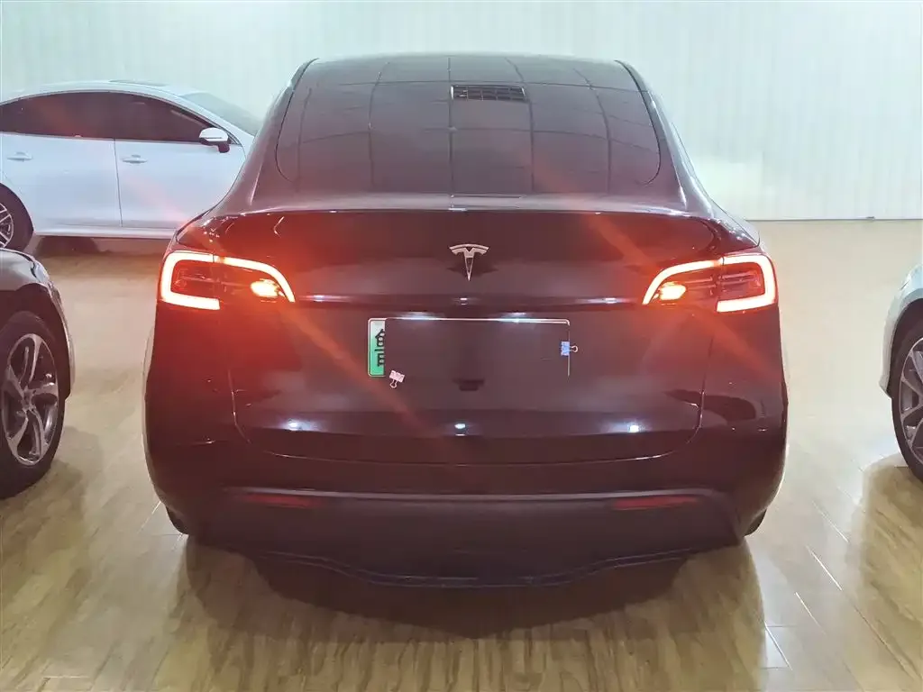 Tesla Model Y 2023 из CN, фото 6