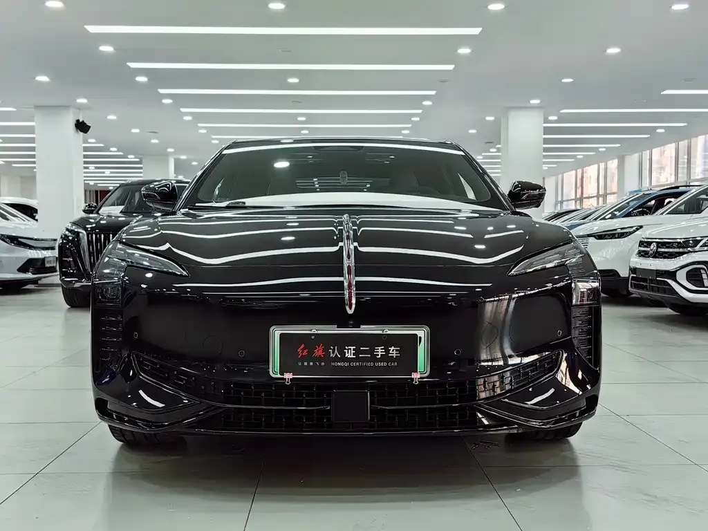 Hongqi EH7 — фото 3