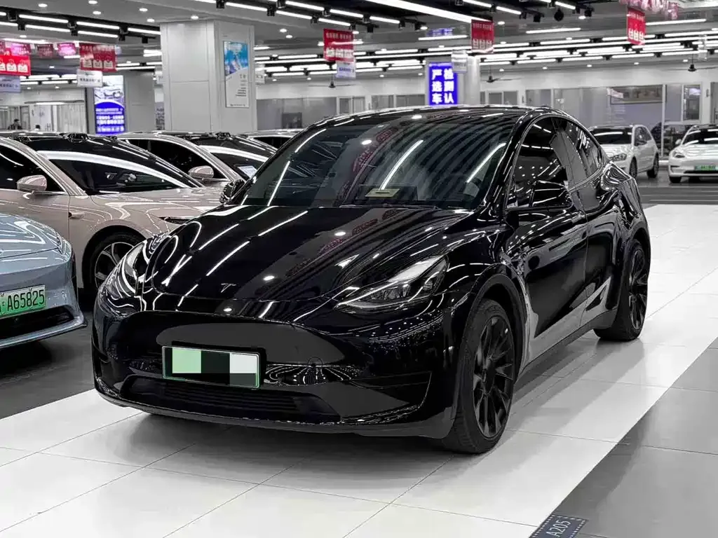 Tesla Model Y — фото 1